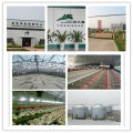 Automatic Poultry Equipment of Ventilation System
